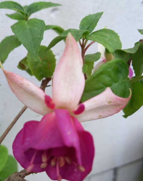  - Sub tutela soarelui