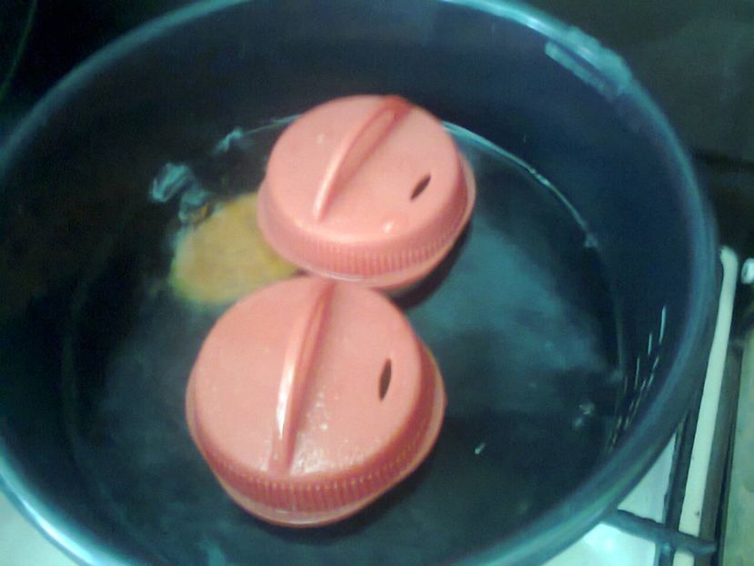 Fotografie6418 - 2022 mai 11 Inceput de vacanță la grădina!