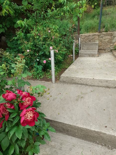  - Mai 2022 volumul 2