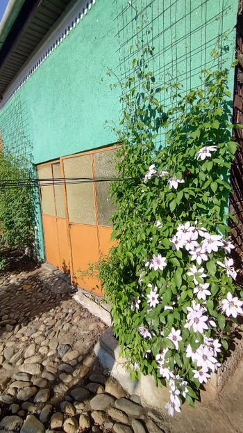 25 05 2022 - Nelly Moser