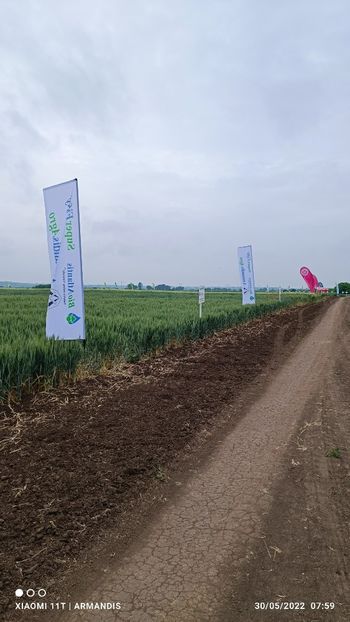 Gorneni 30.05.2022 Poza 1 - 30-05-2022 Gorneni GR