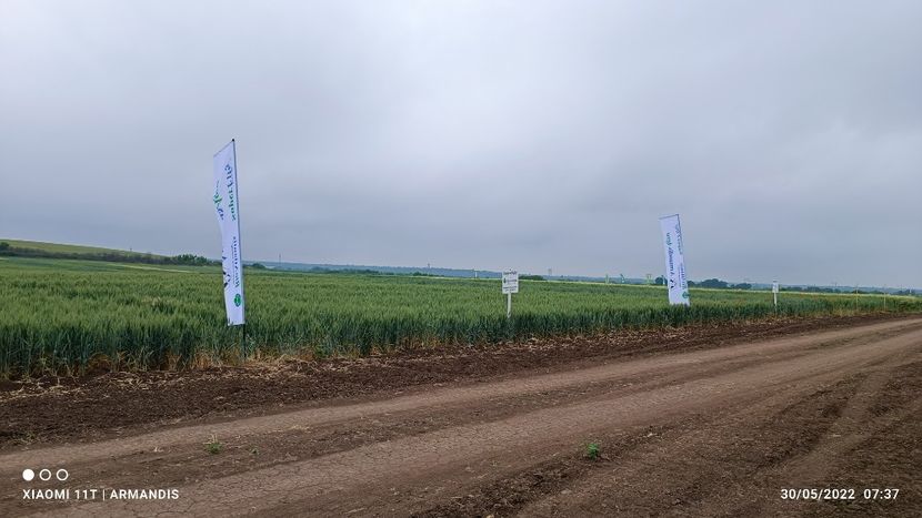 Gorneni 30.05.2022 Poza 2 - 30-05-2022 Gorneni GR