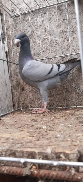 received_741004430424637 - Pui 2022