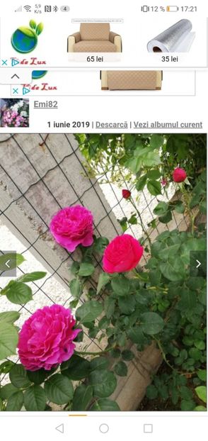 Screenshot_20220527_172119_com.android.chrome - Primavara 2022