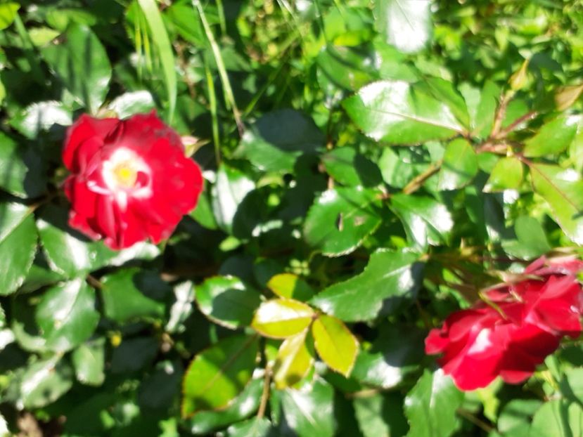  - Mai 2022 volumul 2