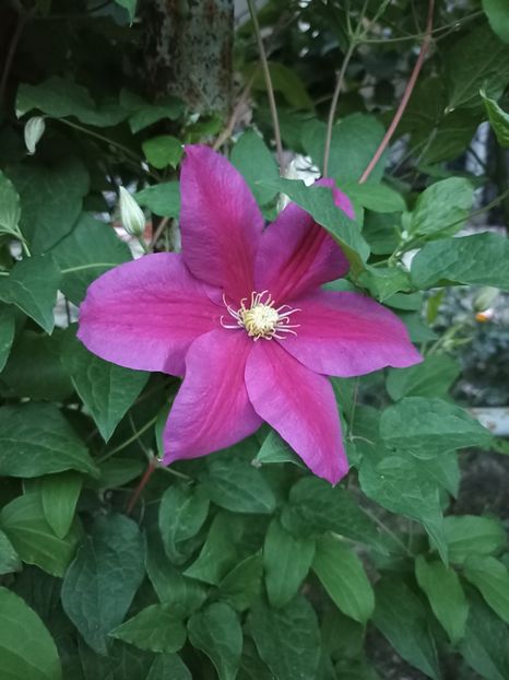 2022 - 31.05 - 07 Sunset