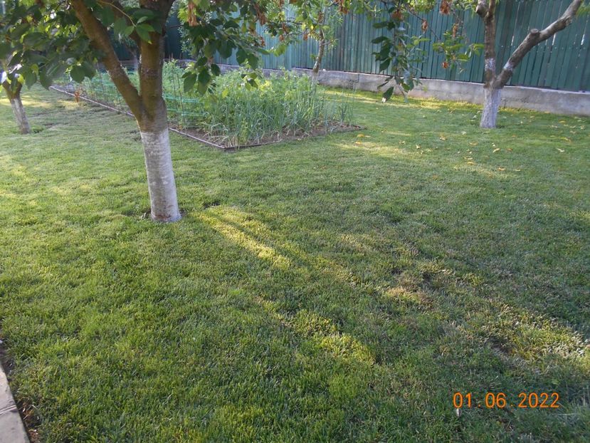  - 02 Gradina de legume 2022