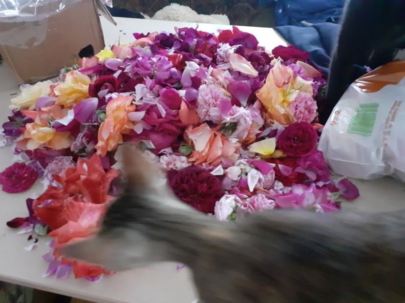  - Mai 2022 volumul 2