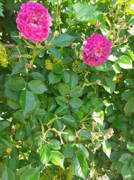  - Mai 2022 volumul 2