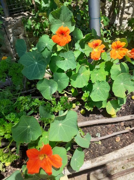  - Mai 2022 volumul 2