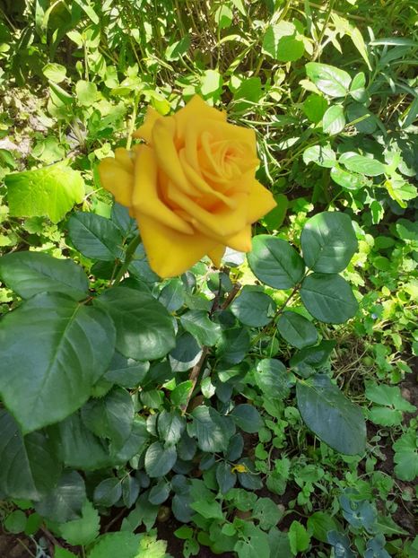  - Mai 2022 volumul 2