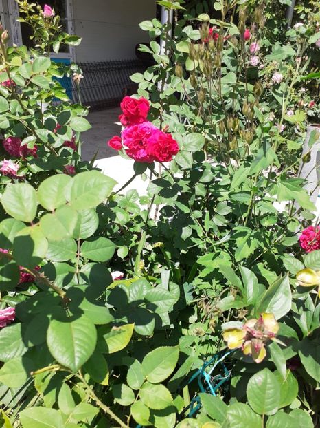  - Mai 2022 volumul 2