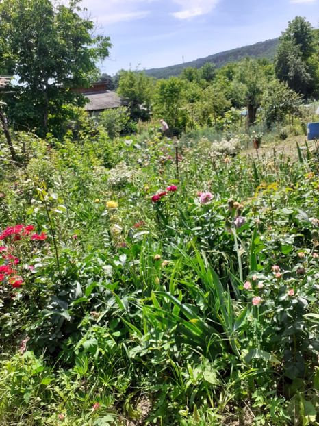  - Mai 2022 volumul 2