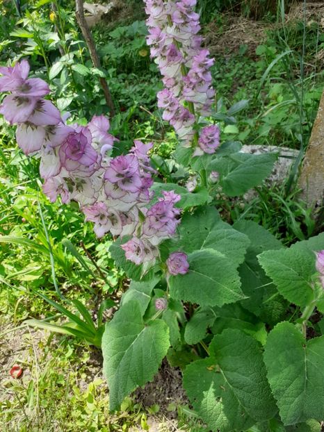  - Mai 2022 volumul 2