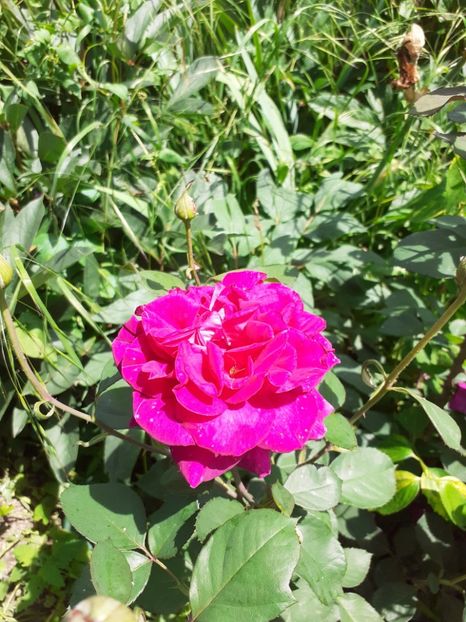  - Mai 2022 volumul 2