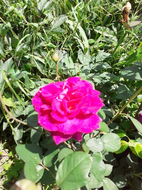  - Mai 2022 volumul 2