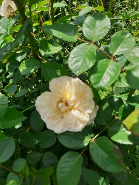  - Mai 2022 volumul 2