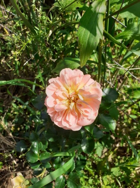  - Mai 2022 volumul 2