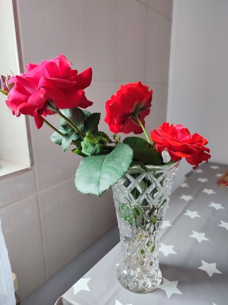  - My mother s flowers