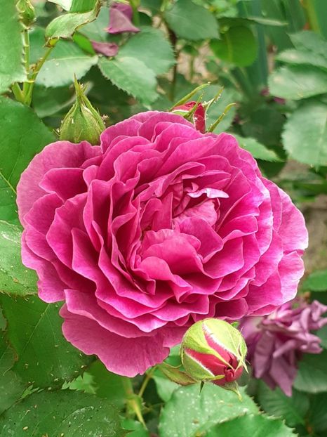 20220604_183312(0) - Minerva 2021 - 2022