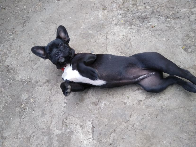 Fotomodel ...in devenire - Bodyguard