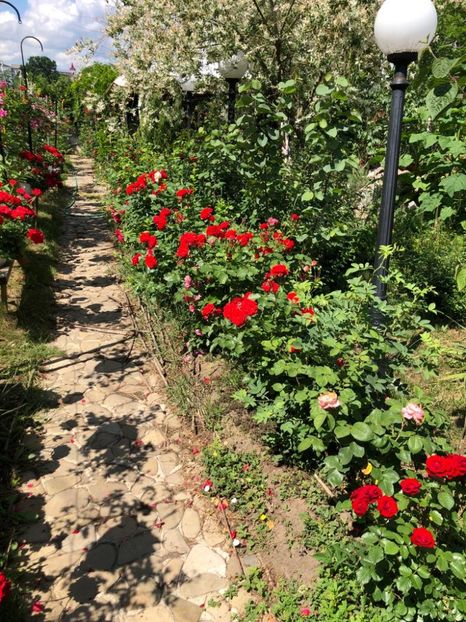 WhatsApp Image 2022-06-06 at 19.36.55 (3) - 05 Roman 06 06 2022