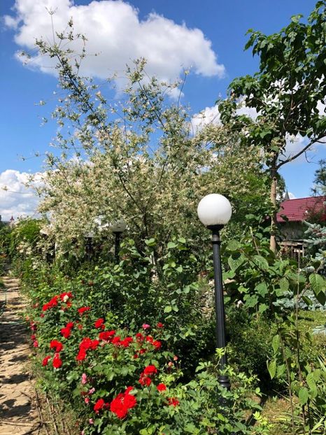 WhatsApp Image 2022-06-06 at 19.36.55 (5) - 05 Roman 06 06 2022