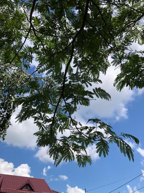 WhatsApp Image 2022-06-06 at 19.39.40 (29) - 05 Roman 06 06 2022