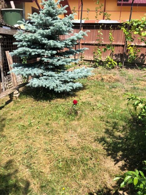 WhatsApp Image 2022-06-06 at 19.40.17 (1) - 05 Roman 06 06 2022