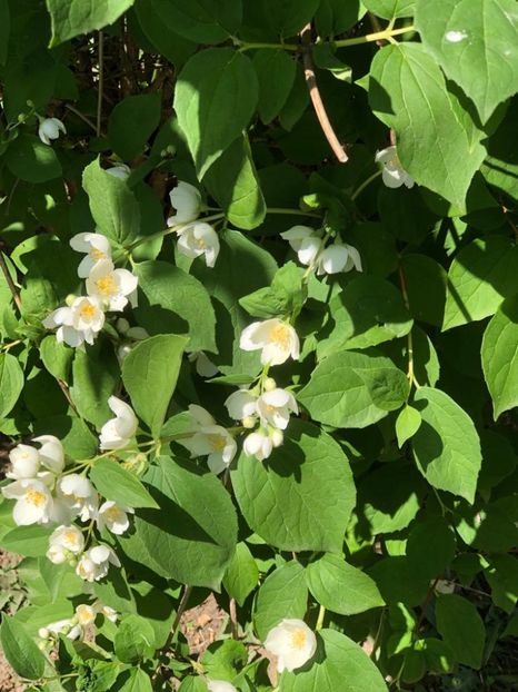 WhatsApp Image 2022-06-06 at 19.40.17 (9) - 05 Roman 06 06 2022