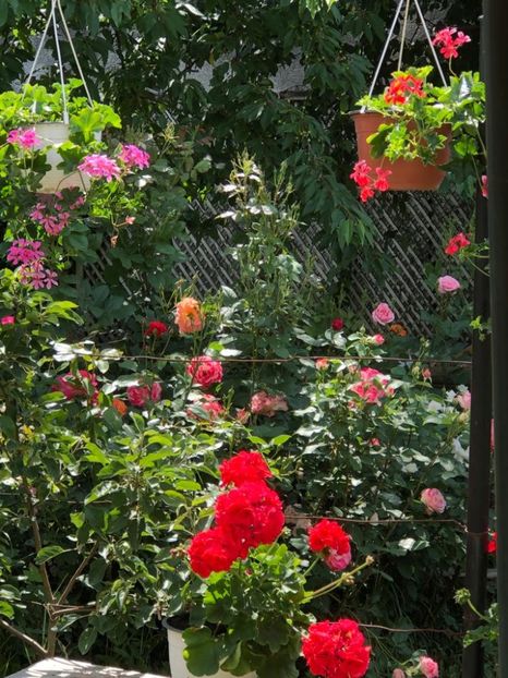 WhatsApp Image 2022-06-06 at 19.40.17 (19) - 05 Roman 06 06 2022