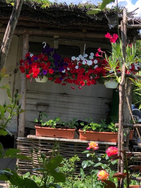 WhatsApp Image 2022-06-06 at 19.40.17 (28) - 05 Roman 06 06 2022