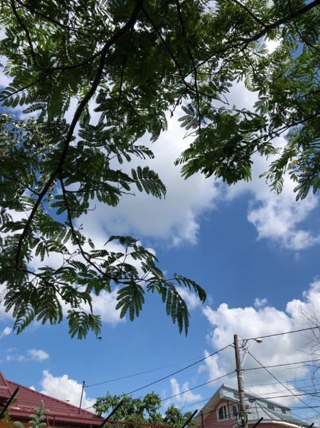 WhatsApp Image 2022-06-06 at 19.40.17 - 05 Roman 06 06 2022