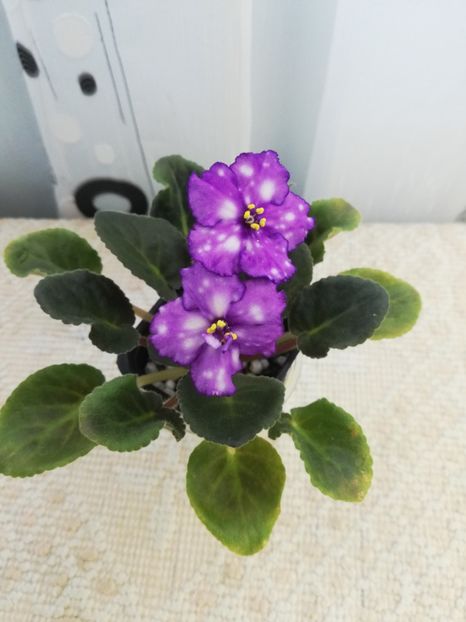 25 mai - Storm s Eye