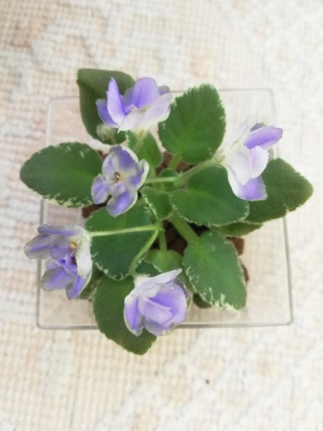 25 mai - Wesley s Depth of Reason