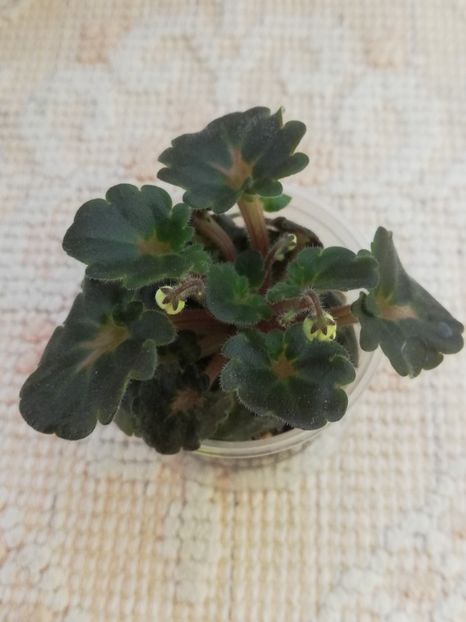 31 mai - Fay s Madeleine