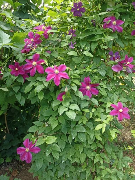 2022. 7.06 - 07 Sunset