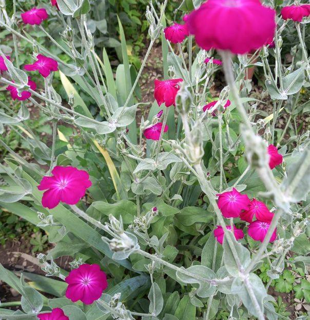  - Sub tutela soarelui