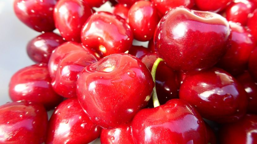 05ciresedemai2022 - Cirese de Mai