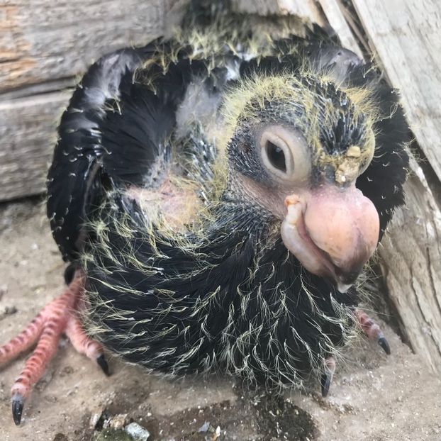 50CD6D8E-E4BD-41C1-8012-2E87C83F5331 - Tineret 2022