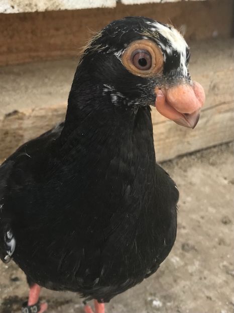 D6F75F1A-69BF-4C44-8CEC-1E17C102687D - Tineret 2022