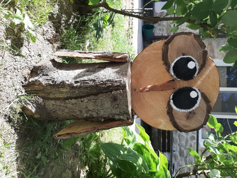  - La servici în iunie 2022