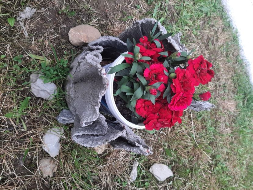  - La servici în iunie 2022