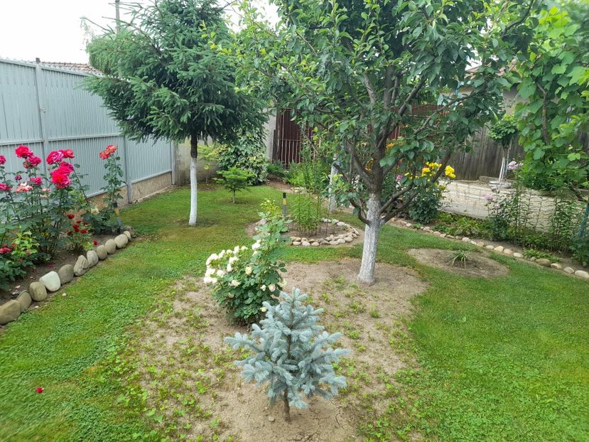  - 01 De prin curte si gradina
