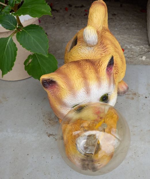  - Sub tutela soarelui