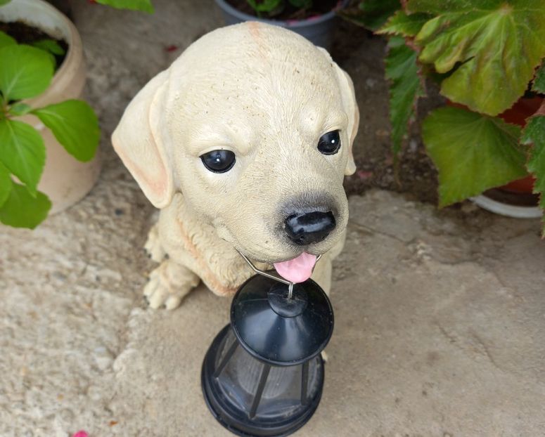  - Sub tutela soarelui