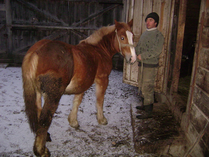 Boicu la sura - Manzul Boicu din Maramures -Calinesti