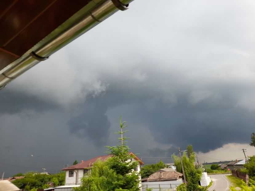  - 01 De prin curte si gradina