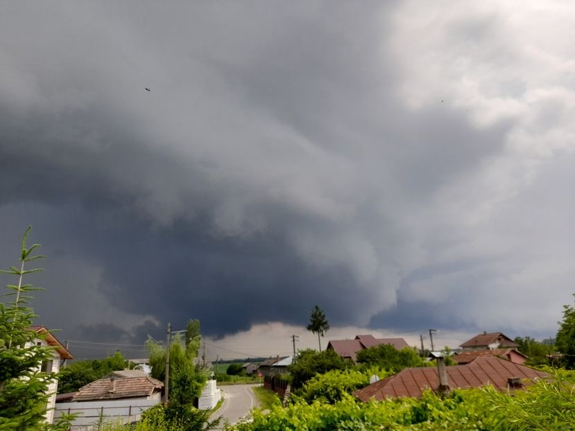  - 01 De prin curte si gradina
