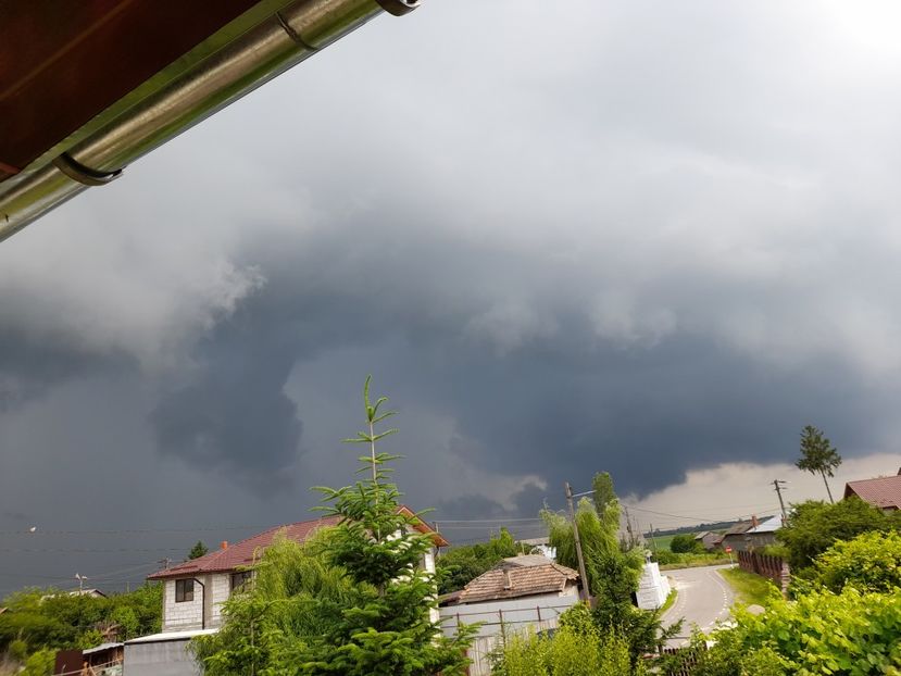 Am zis ca pica cerul! Doamne Sfinte ! - 01 De prin curte si gradina
